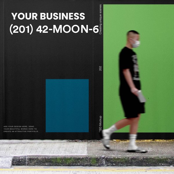 (201) 42-MOON-6 for sale - Wall